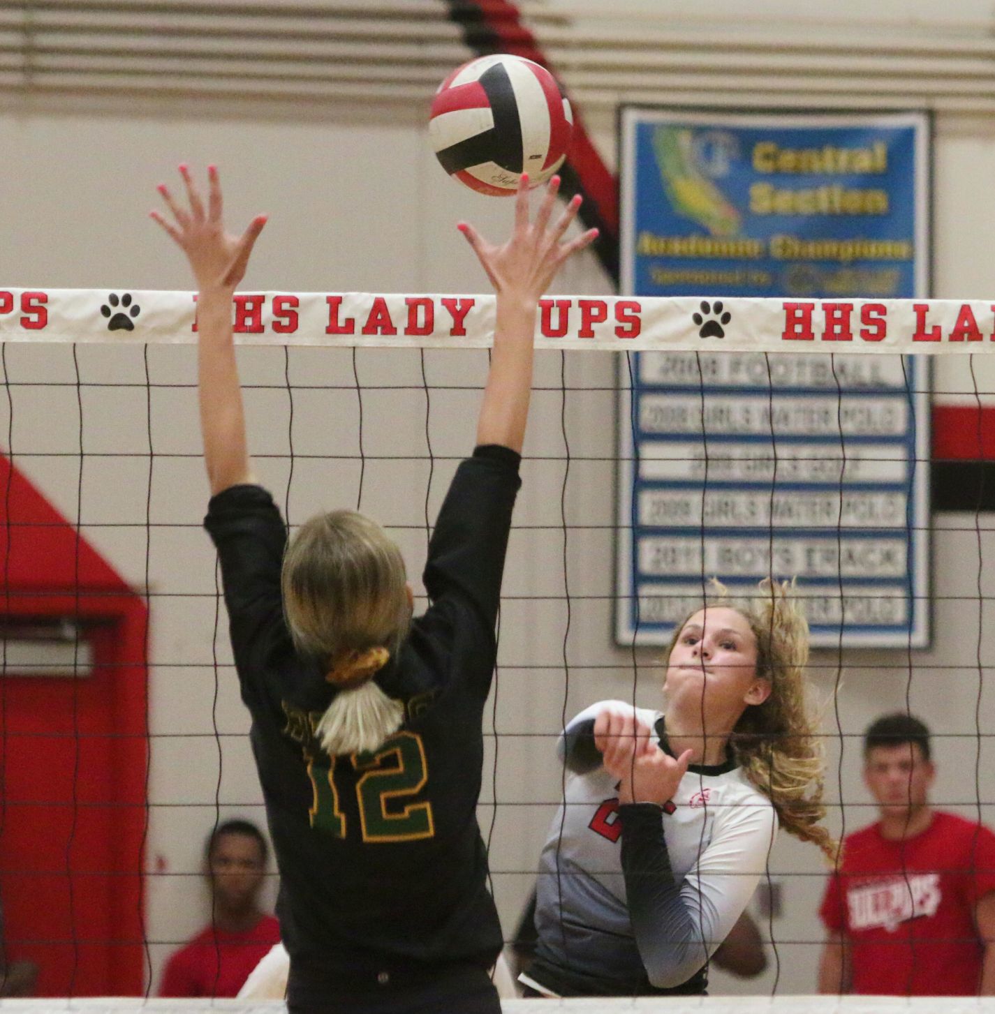 Golden Bears open season with victory over Bullpups